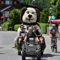 salzburg-guide-narzissen-dog