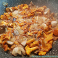 salzburg-guide-mushrooms-cooking