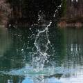 salzburg-guide-photogallery-woods-lake-splash