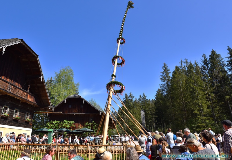 Майское дерево - традиция установки в Австрии 1 мая